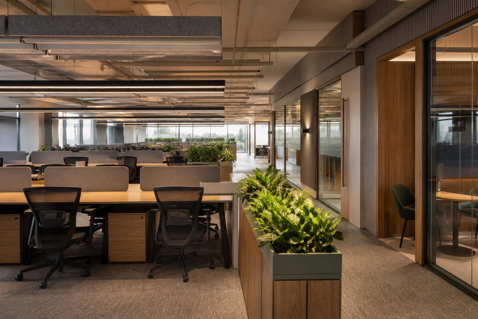 Daylit open workspace with acoustic planning in the office fit-out collection